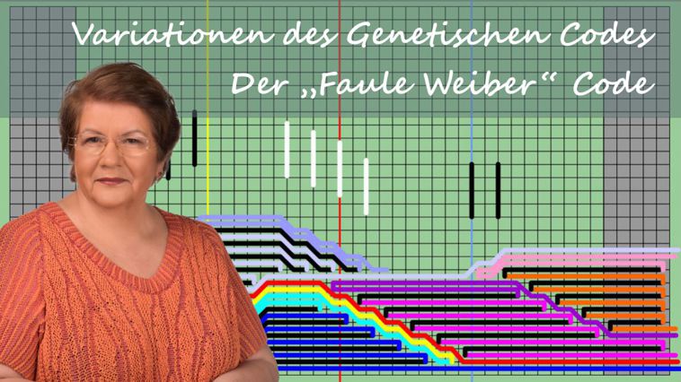 StrickAnleitungen Faule-Weiber-Genetischer Code